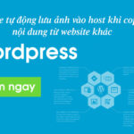 Code tự động lưu ảnh vào host khi copy nội dung từ website khác
