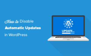 Cách tắt tính năng tự động cập nhật trong WordPress (auto update)